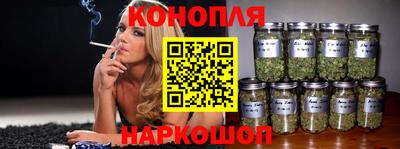 прущие крисы Ипатово