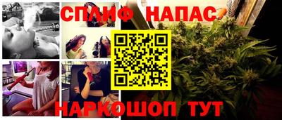 прущие крисы Ипатово
