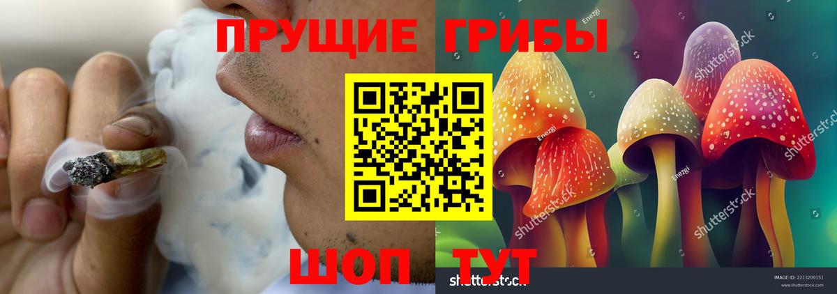 Псилоцибиновые грибы GOLDEN TEACHER  Вход с VPN  Воткинск 